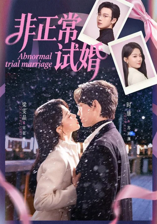 非正常试婚(2026)海报