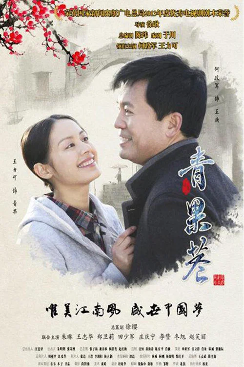 青果巷(2014)海报