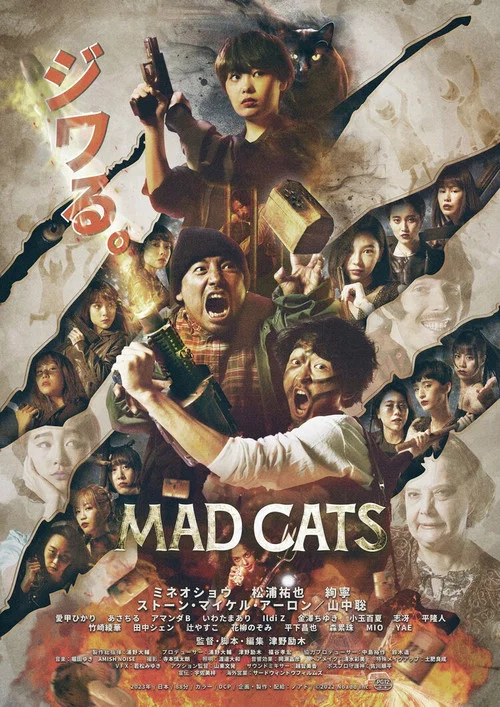 猫无赦(2023)海报