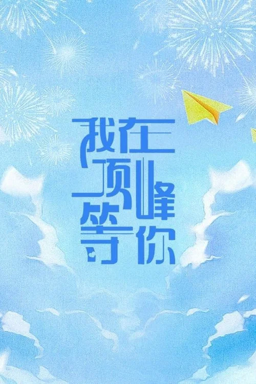 我在顶峰等你剧照4