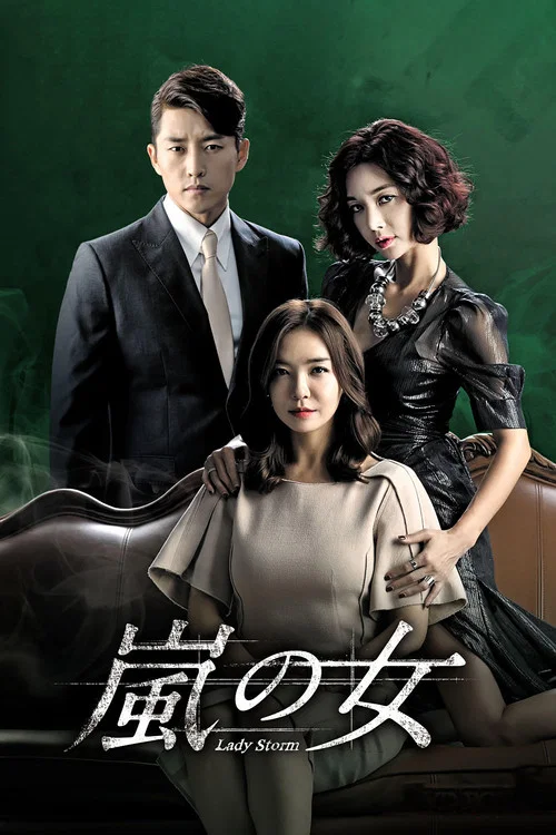 暴風的女人(2014)海報