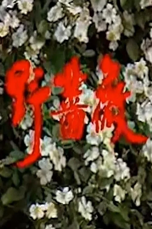 野薔薇(1991)海報