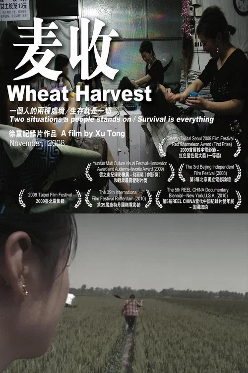 麦收(2008)海报