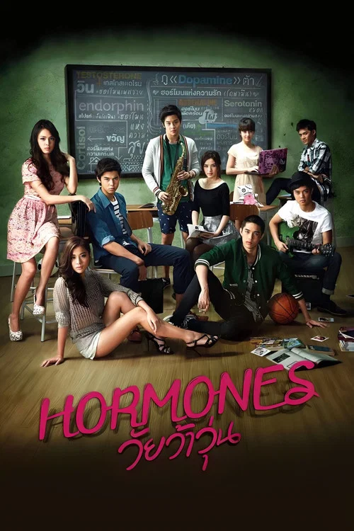 荷爾蒙(2013)海報