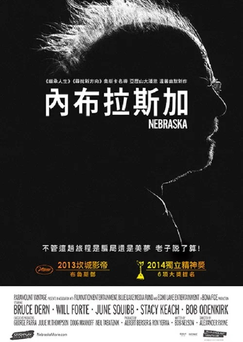 心旅(2013)海报