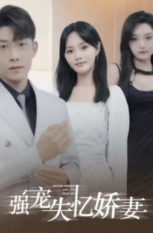 強寵失憶嬌妻(2023)海報