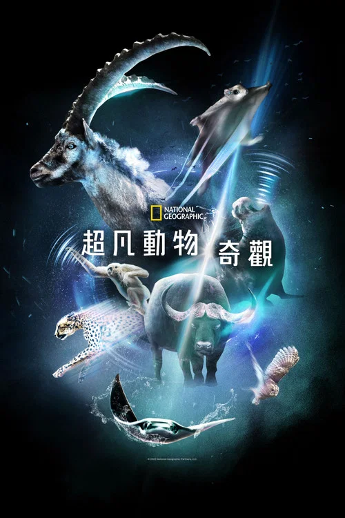 超凡動物奇觀(2022)海報