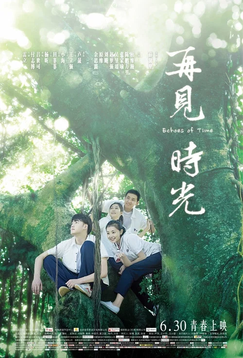 再見時光(2017)海報