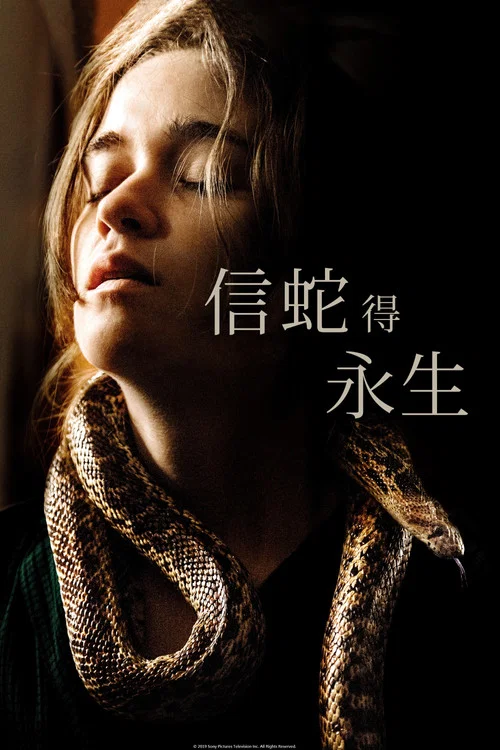 追隨者(2019)海報