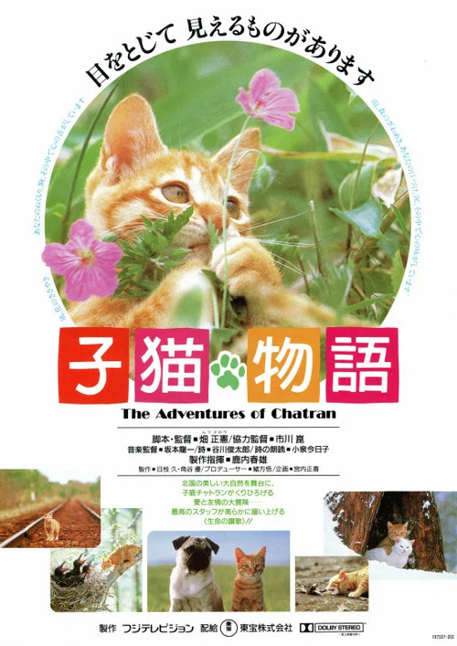 小猫的故事(1986)海报
