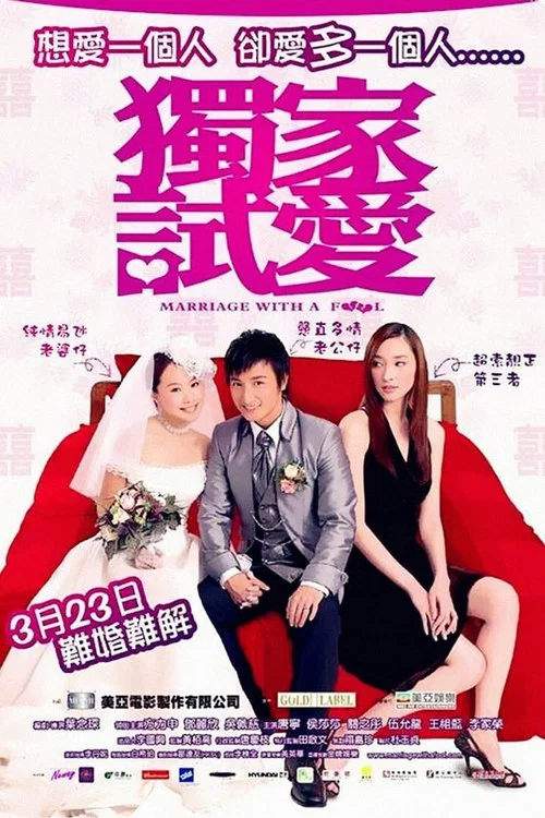 獨家試愛(2006)海報