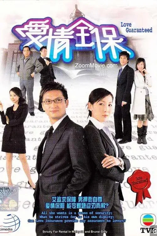 爱情全保(2006)海报