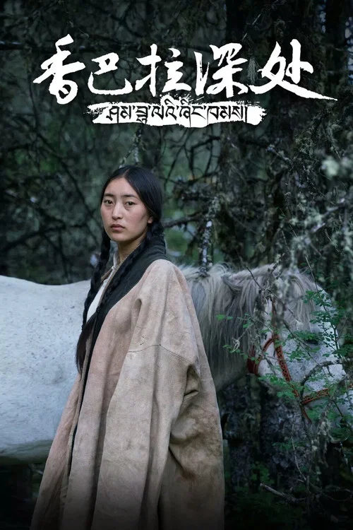 香巴拉深處(2018)海報