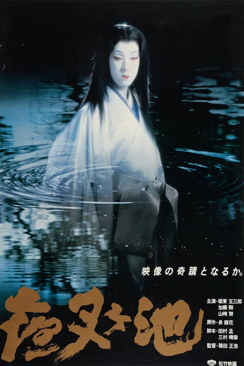 夜叉池(1979)海報