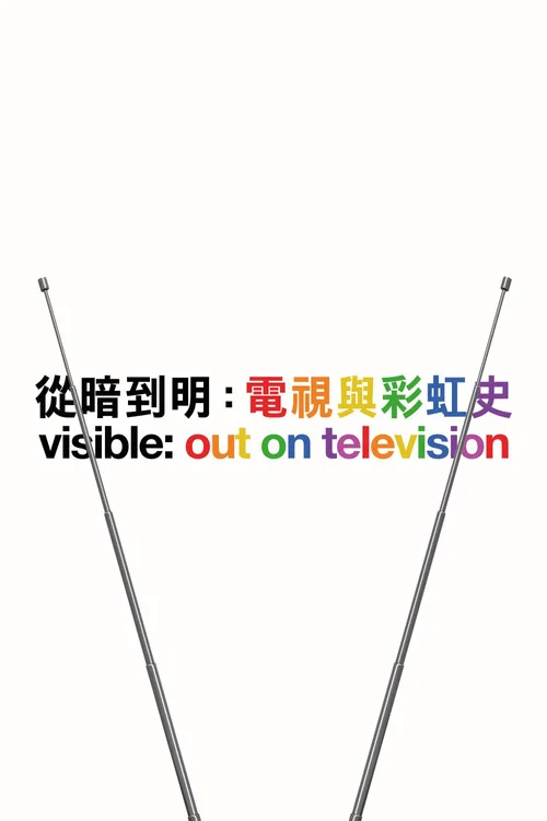 從暗到明:電視與彩虹史(2020)海報