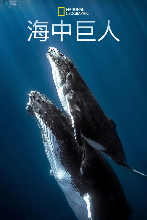 深海巨獸劇照2