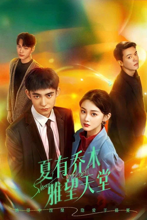 夏有乔木 雅望天堂(2024)海报