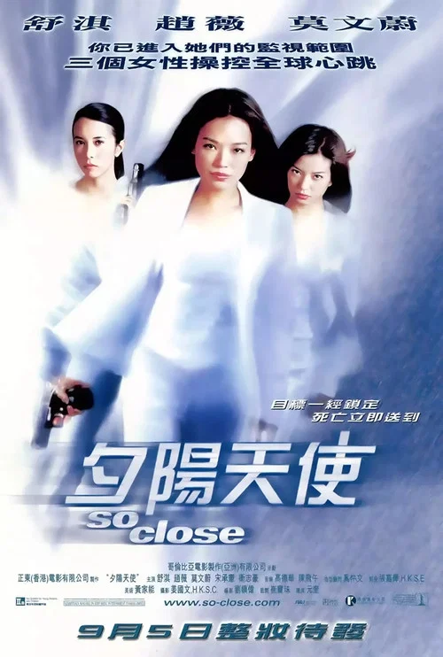 夕阳天使(2002)海报