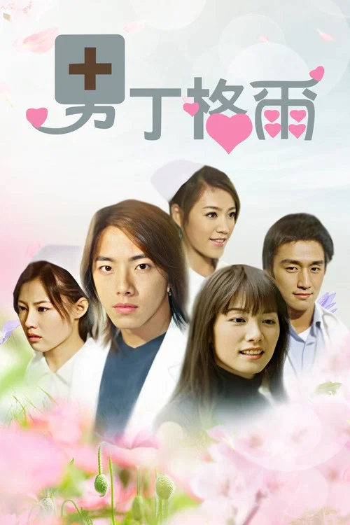 男丁格爾(2004)海報