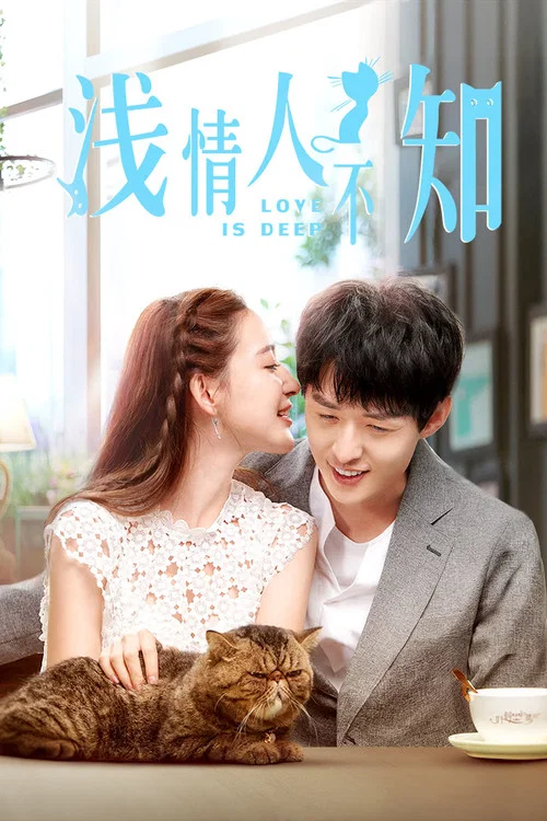 浅情人不知(2019)海报