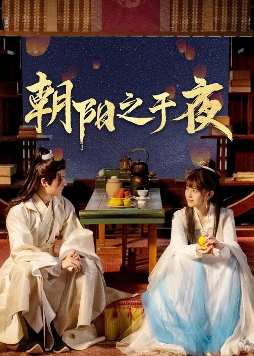 朝陽之於夜(2025)海報