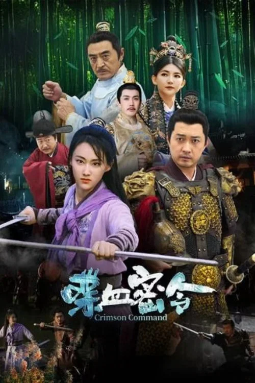 喋血密令(2024)海報