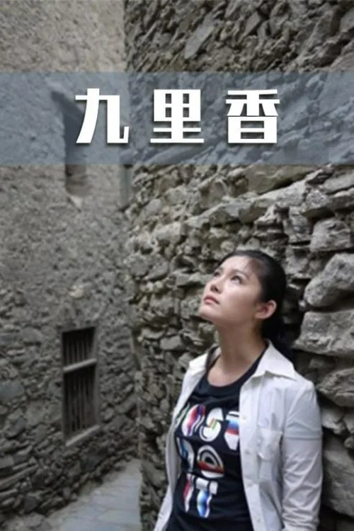 九里香(2011)海报