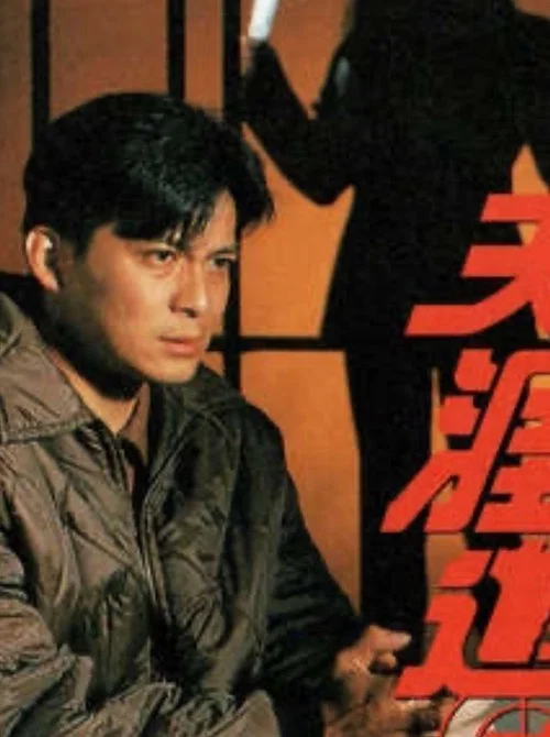 天涯追凶粤语(1994)海报