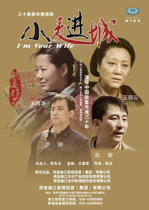 小麥進城(2012)海報
