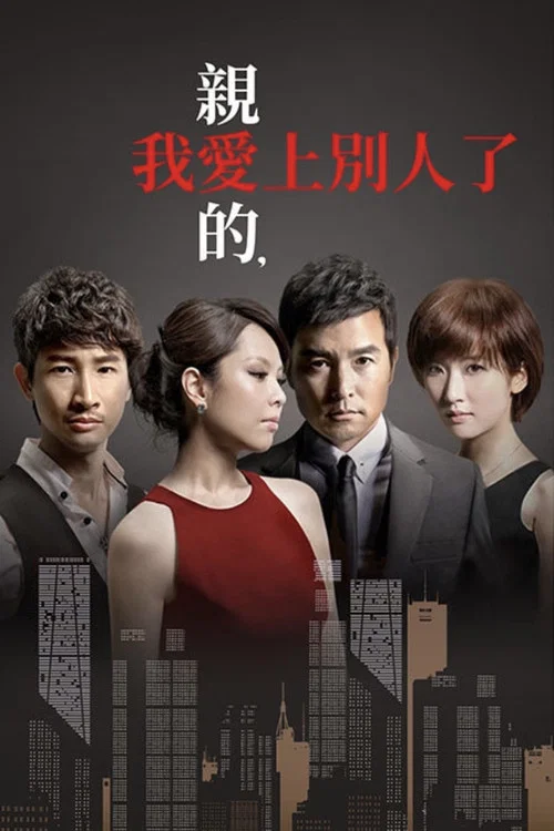親愛的我愛上別人了(2013)海報