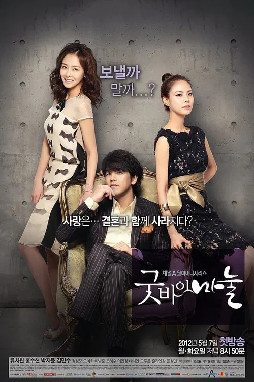 再見,老婆(2012)海報