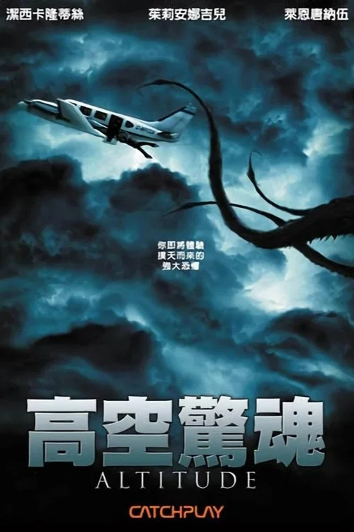 高空飞行(2010)海报