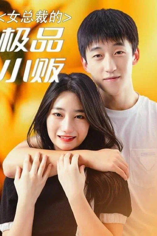 女总裁的极品小贩(2023)海报