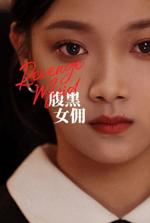 腹黑女傭(2023)海報