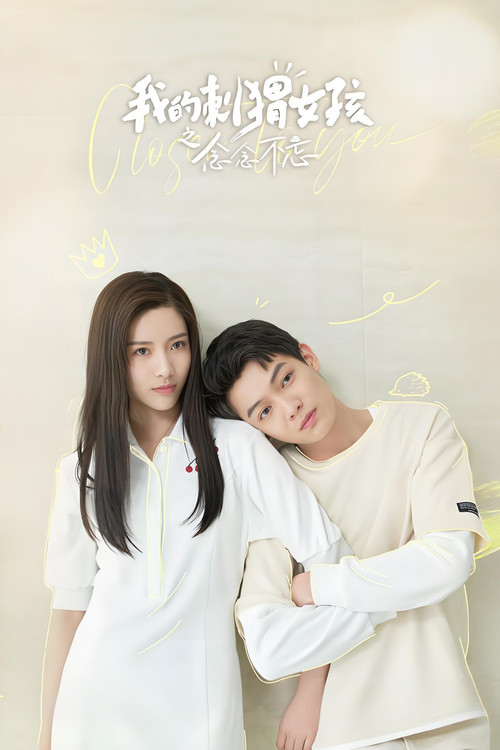 我的刺猬女孩之念念不忘(2023)海报