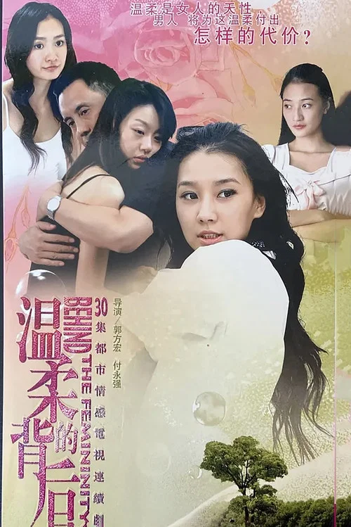 温柔的背后(2008)海报