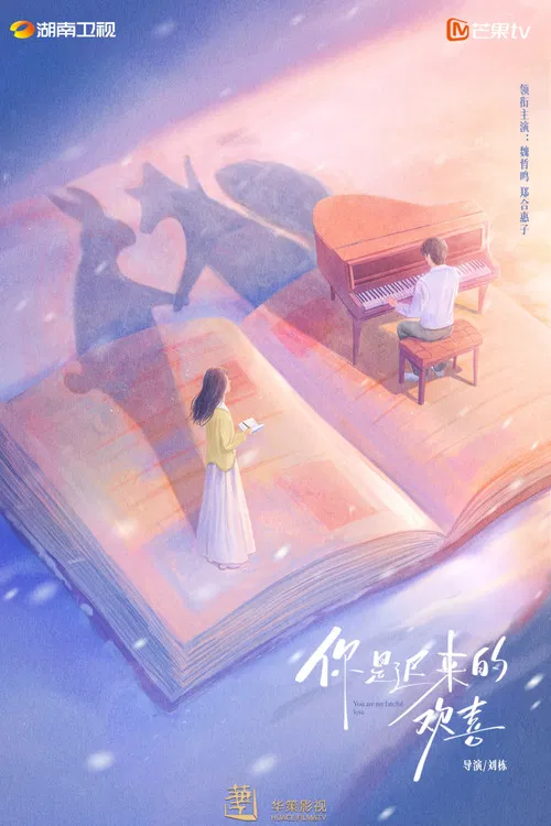 你是迟来的欢喜(2026)剧照4