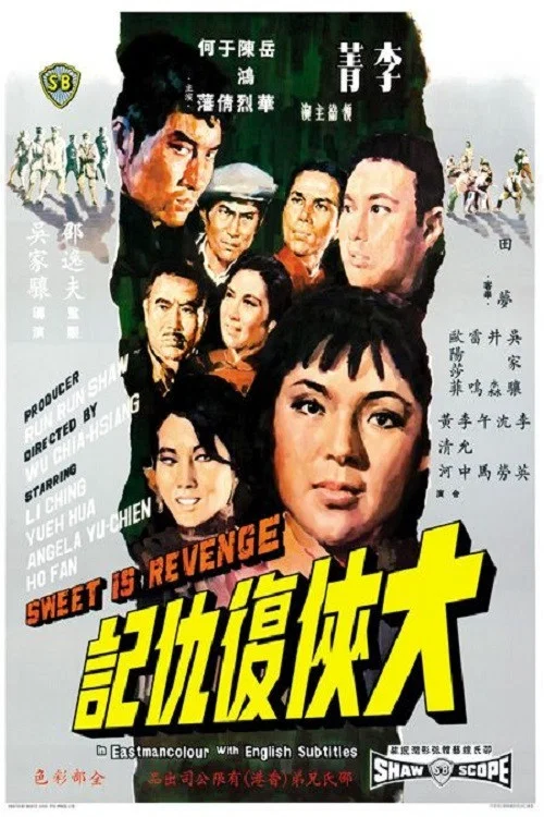 大俠復仇記(1967)海報