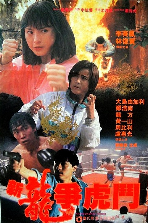 新龙争虎斗(1992)海报