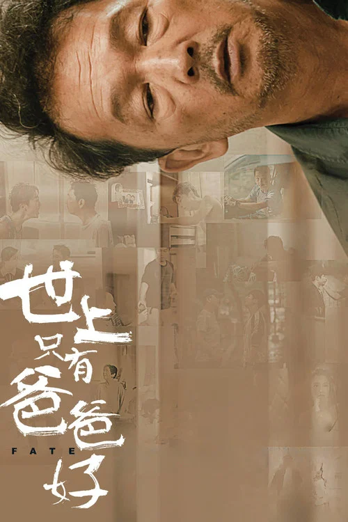 世上只有爸爸好剧照2