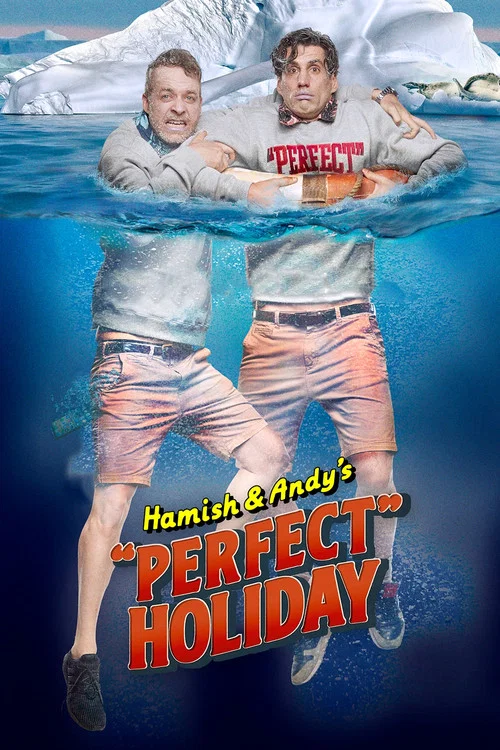 完美假期(2019)海报