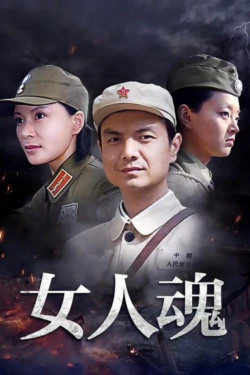 女人魂(2008)海报