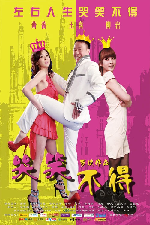 哭笑不得(2012)海报