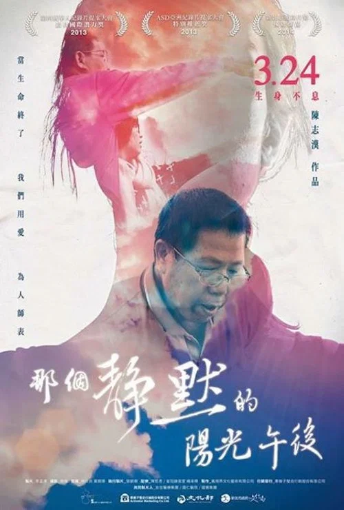 那个静默的阳光午后(2017)海报