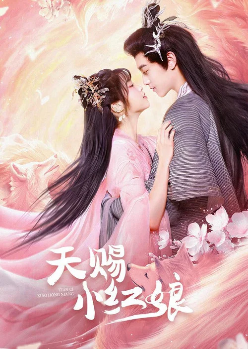 天賜小紅娘(2024)海報