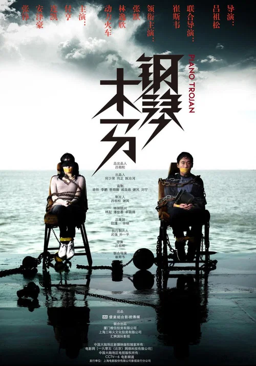 钢琴木马(2013)海报