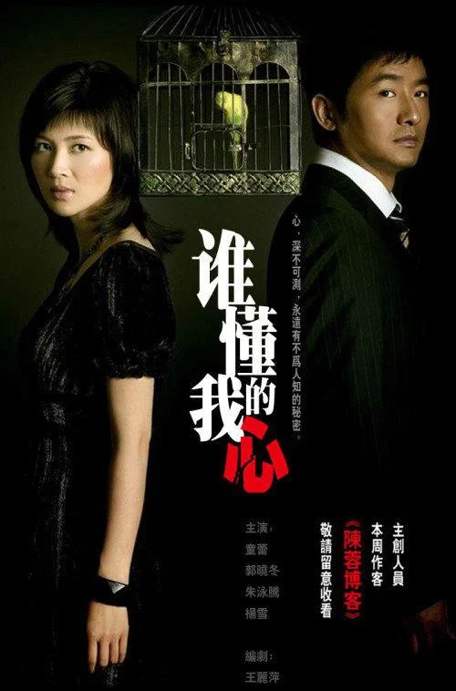 谁懂我的心(2008)海报