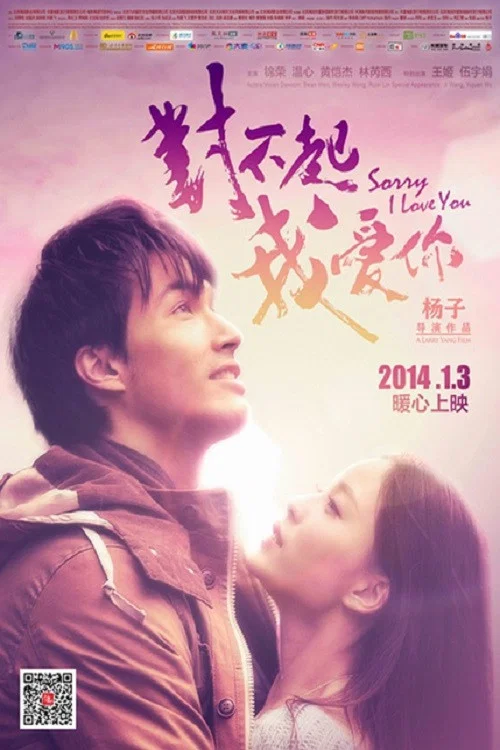 對不起,我愛你(2013)海報