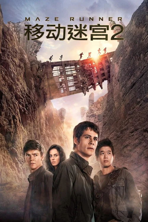 审判迷宫(2015)海报