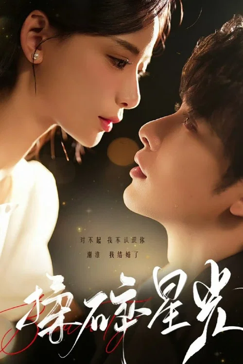 揉碎星光(2024)海报